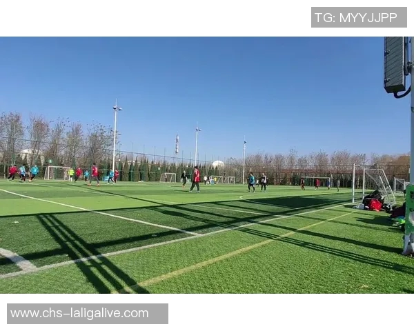 畅玩足球小游戏尽享乐趣与挑战提升技巧与团队合作精神