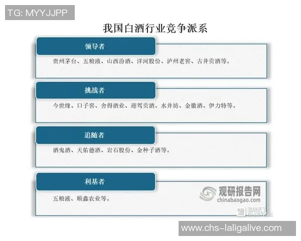 宝力高对比分析探讨其市场竞争力与发展潜力的全面评估